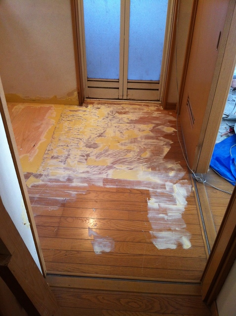 パテ処理　床全体2.JPG