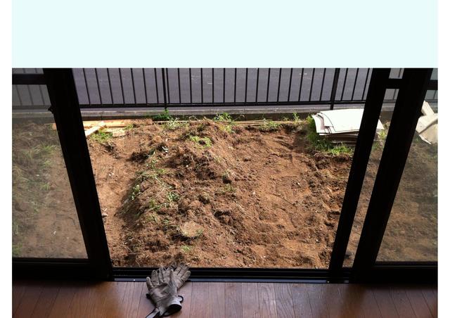 除草2.jpg