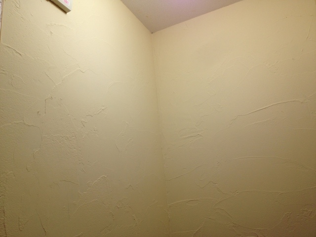 ﾄｲﾚ完成6.JPG