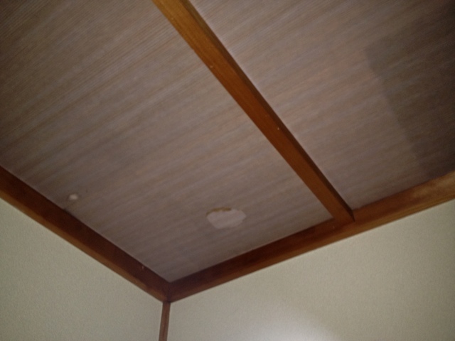 IMG_0480.JPG